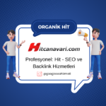 Organik Hit Hizmeti ile SEO’da Zirveye Çıkmanın Yolları